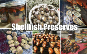 Foraging Workshop - Shellfish @ Nature's Chef HQ | Sooke | British Columbia | Canada