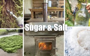 Foraging Workshop - Sugar & Salt @ Nature's Chef HQ